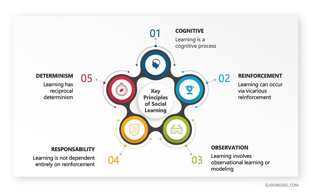 observational learning process