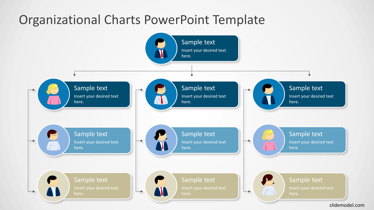 Top Down Organizational Chart PowerPoint Template