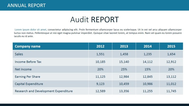 PowerPoint Table for Audit Report