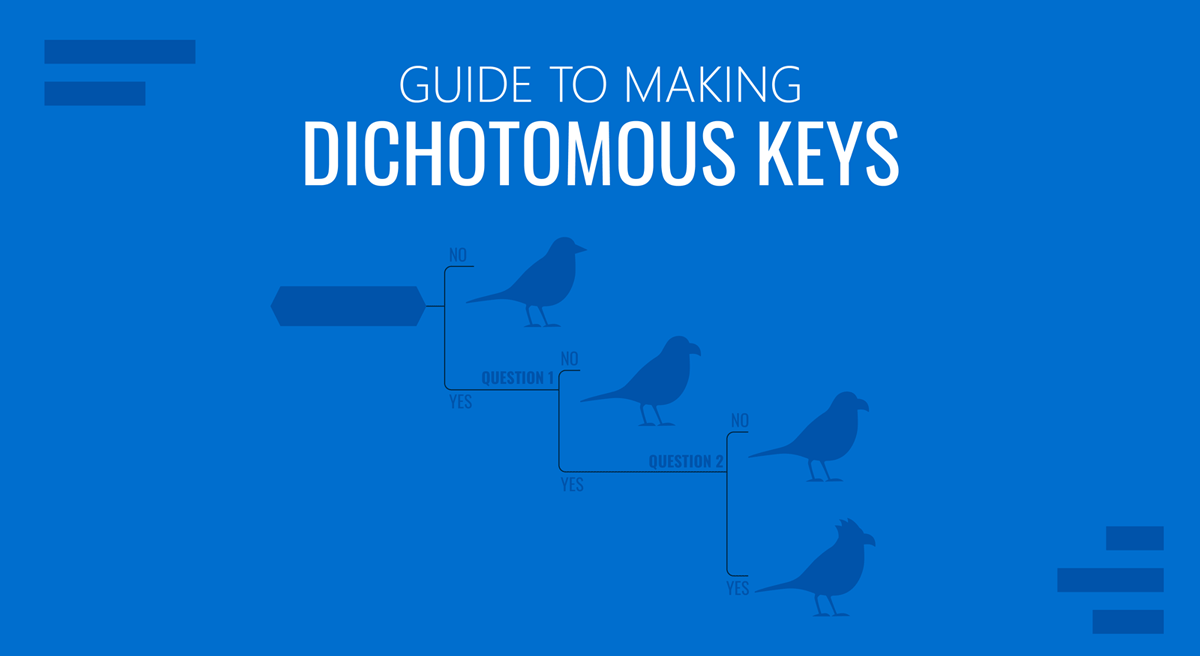 Cover for Dichotomous Keys Guide