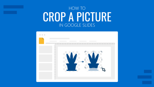 How to Crop a Picture in Google Slides