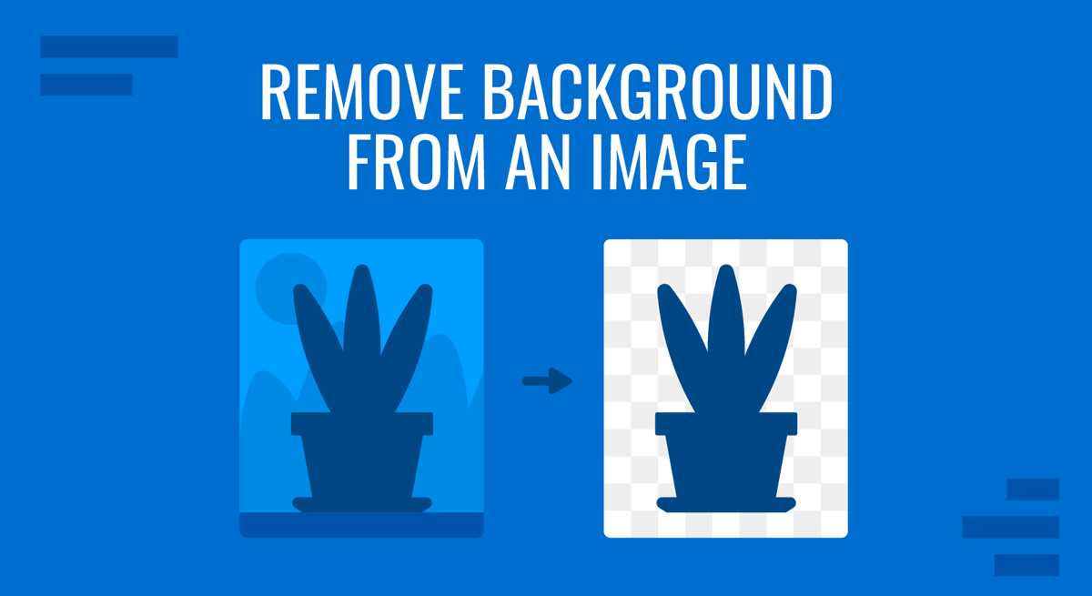 Cover for how to remove background from an image