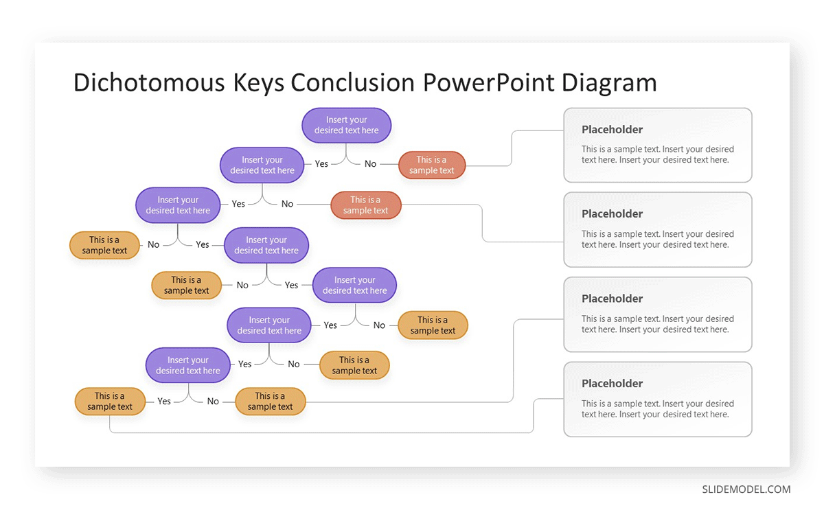 Sample of what a dichotomous key diagram would look like