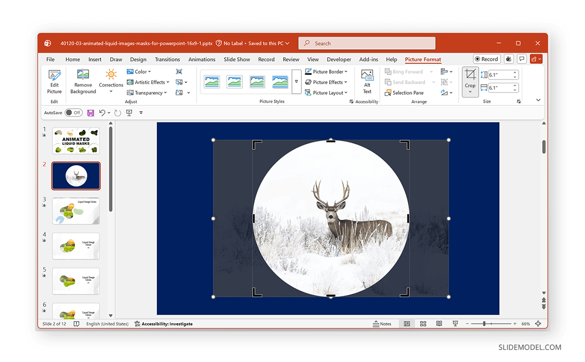 Circular image mask PPT