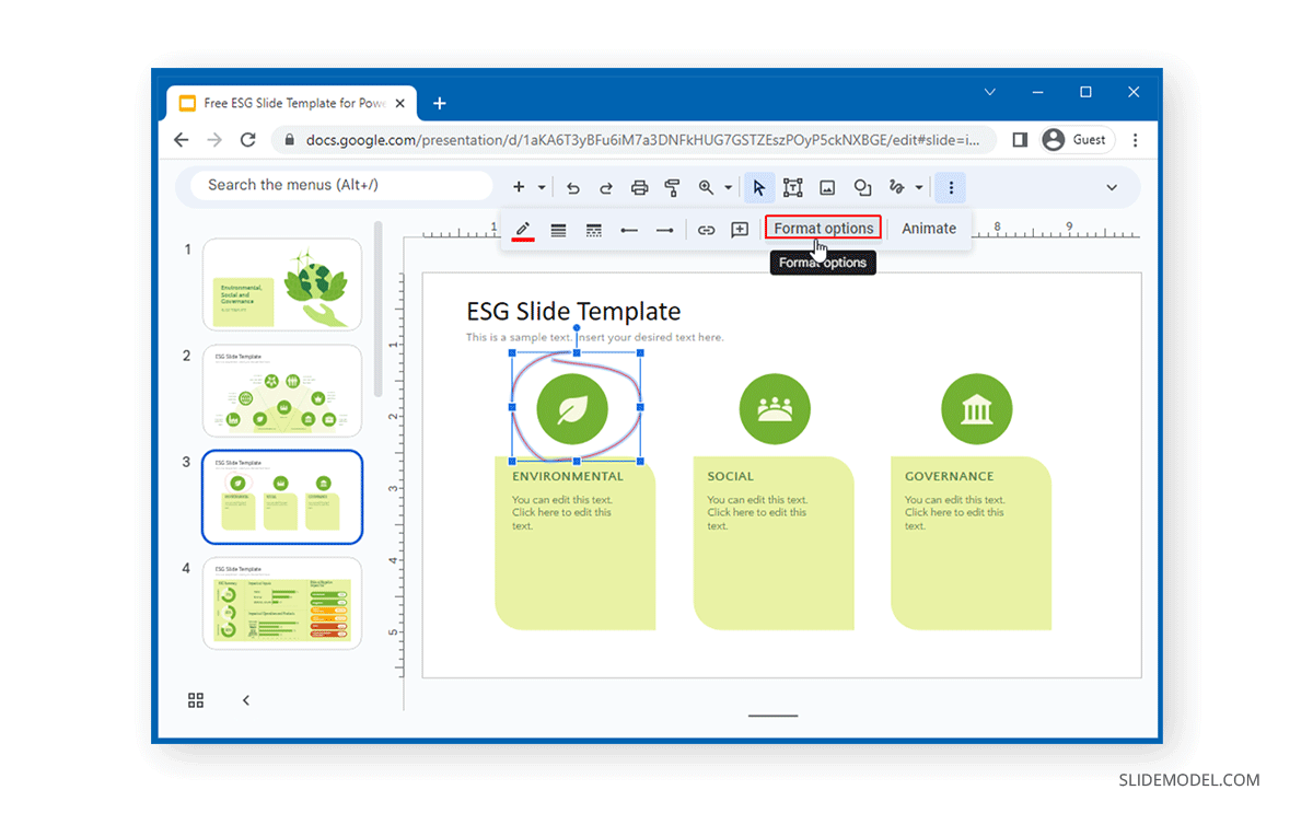 Format options in Google Slides