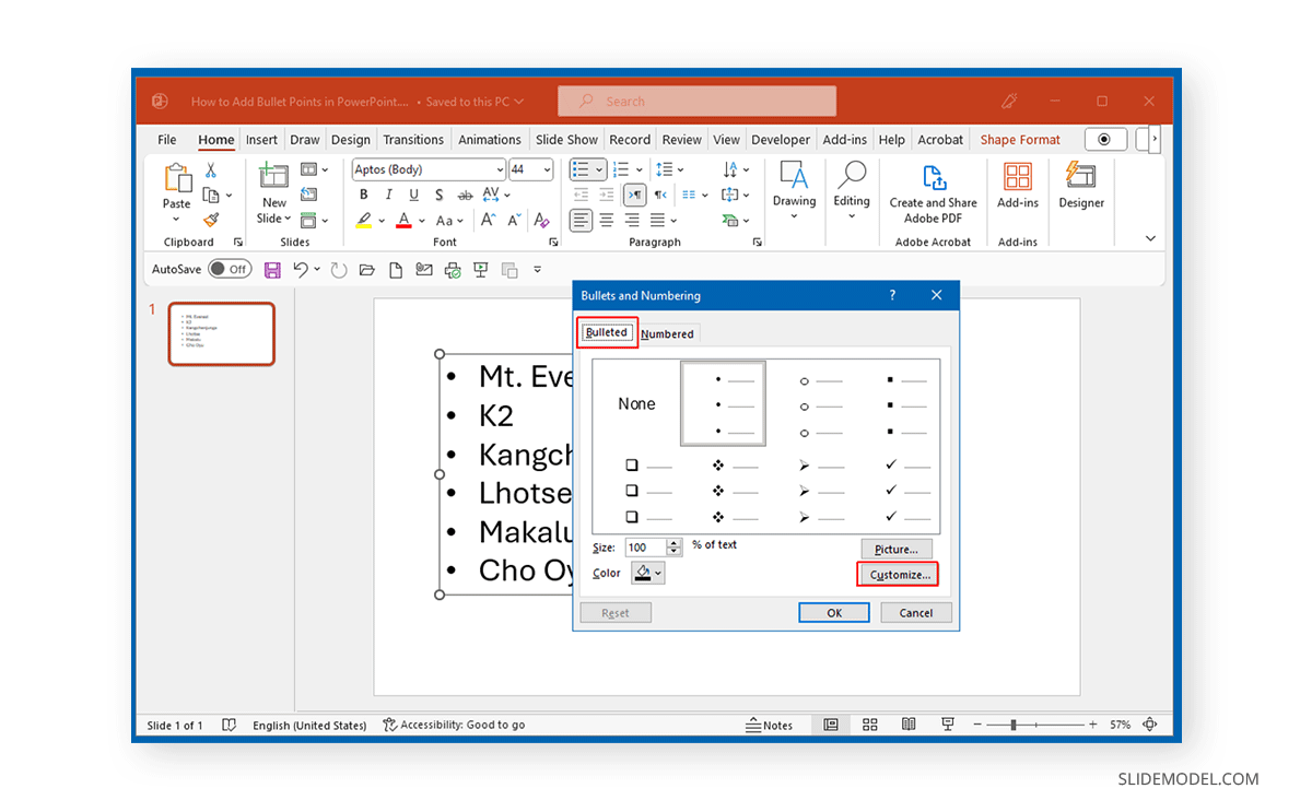 Customize bullet points in PPT slide