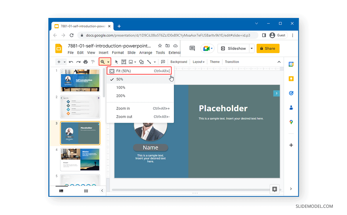 Fit Zoom on Google Slides