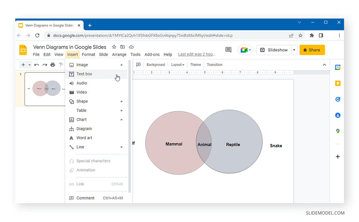 adding a text box to a venn diagram in google slides