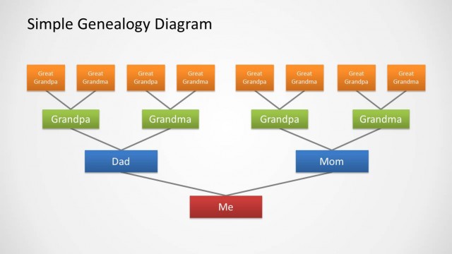 Genealogy Tree Diagram for PowerPoint