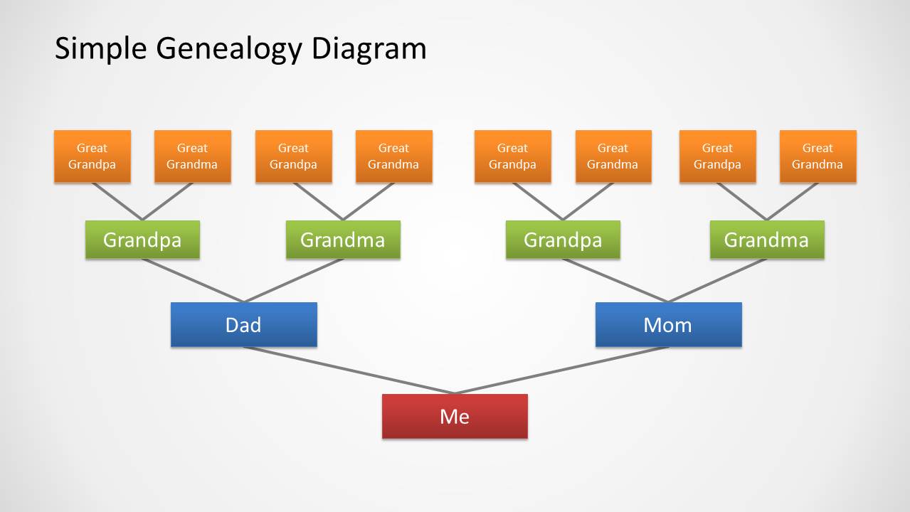 Family Tree Diagram Design for PowerPoint with 4 Levels