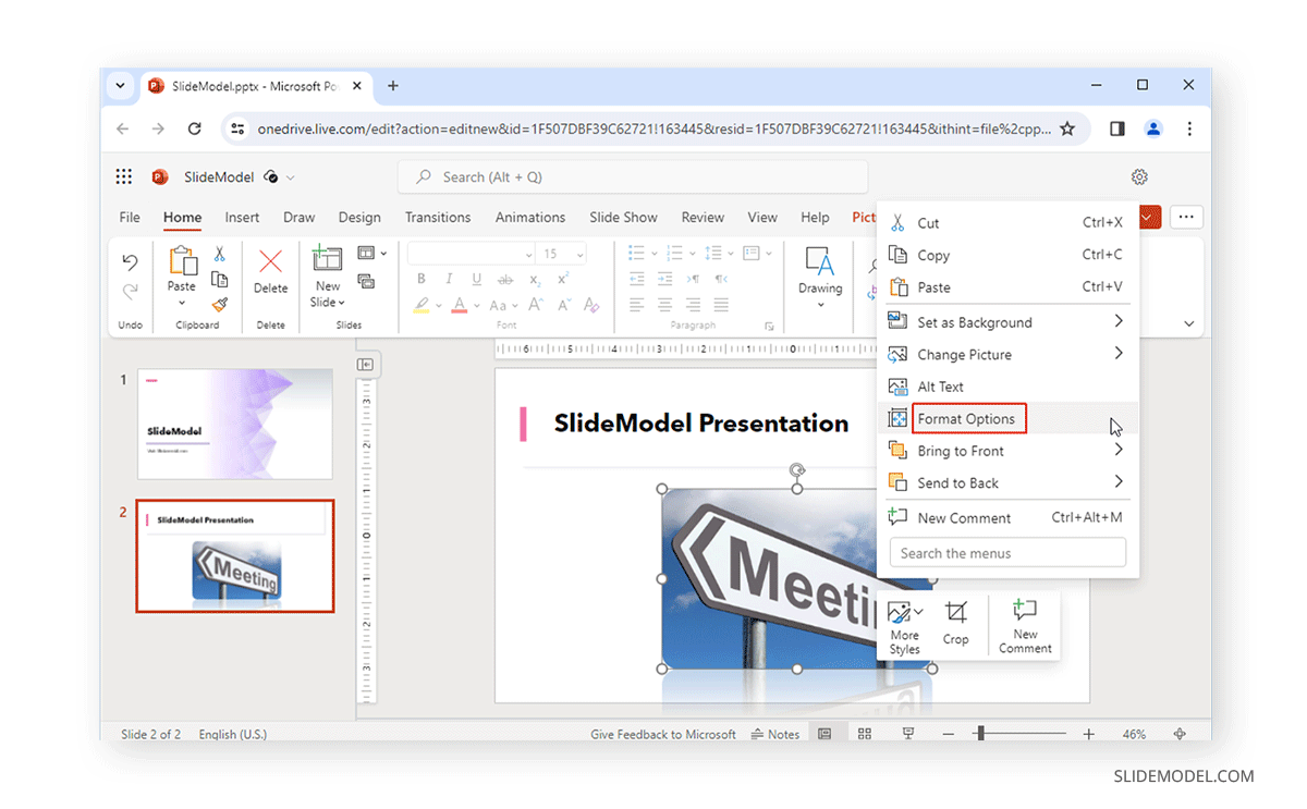 Format Options in PowerPoint for Images via menu
