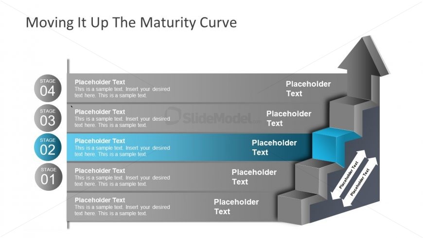 Presentation of Maturity Model Ladder