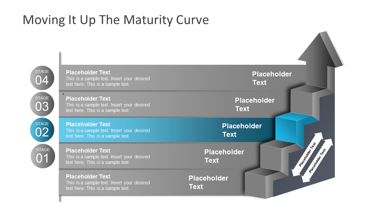 Presentation of Maturity Model Ladder