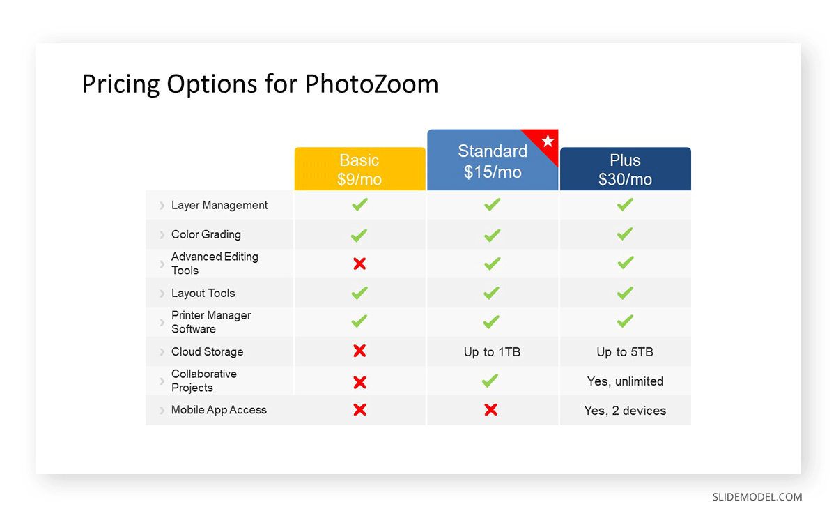 Pricing table slide in a Business Plan Presentation