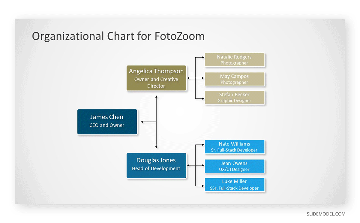 Org Chart in a Business Plan Presentation