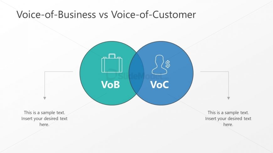 PPT for Voice of Business and Customer 