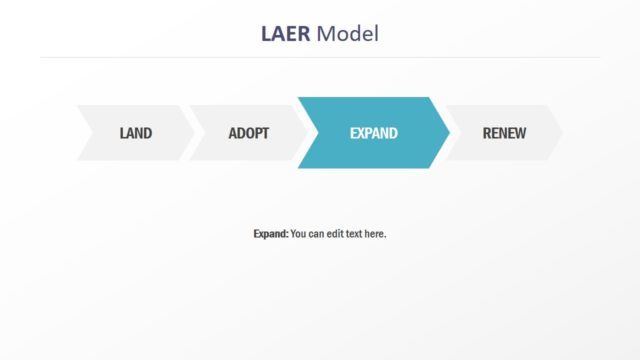 Expand Stage of LAER Model PPT