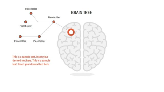 Diagram Template of Brain Tree