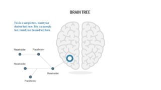 Flat Brain Shape Illustration