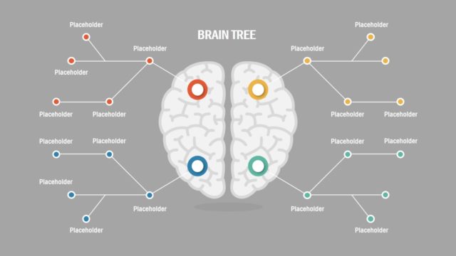 Editable Brain Tree Concept Diagram