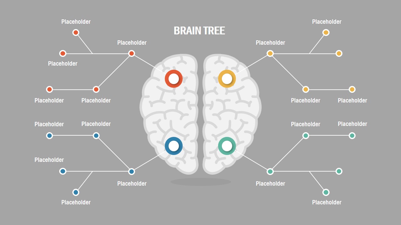 Presentation of Brain Concepts 