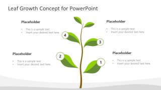 Leaf Growth Concept Template for PowerPoint