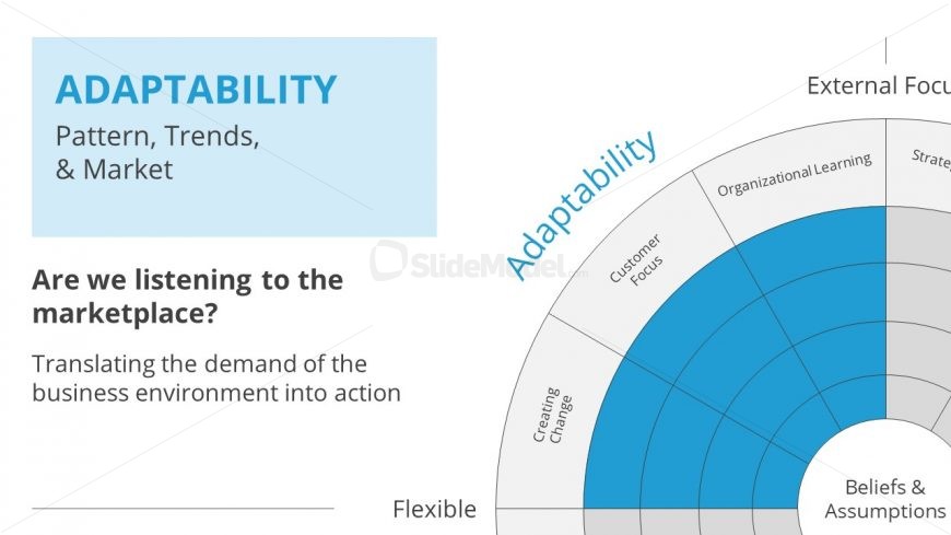 Slide of Denison Model Adaptability Section 
