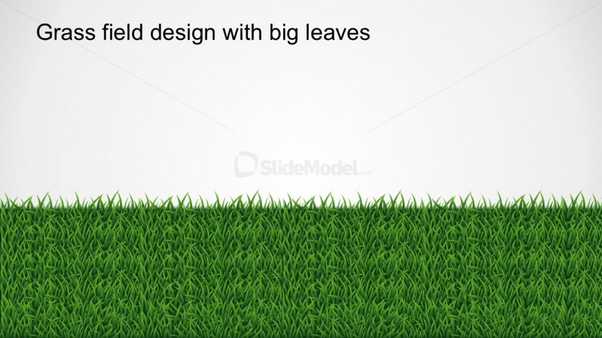 Editable Grass Field Design With Big Leaves PowerPoint Shapes