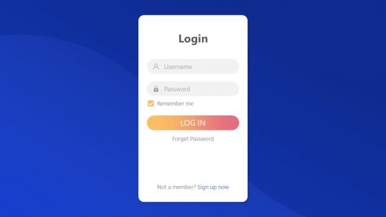 Presentation of Mockup for User Login Page