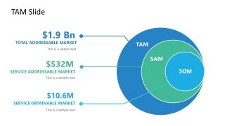 3 Level TAM Market Size Diagram