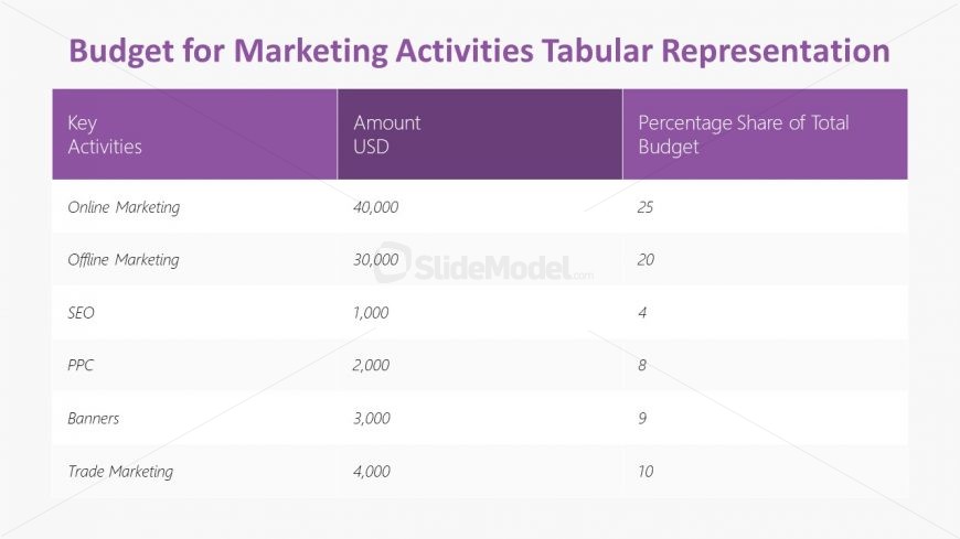 Presentation of Marketing Budget in Table Layout