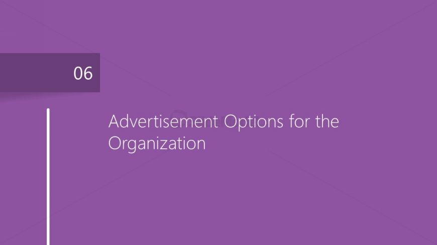 Advertising Options Chapter Market Plan