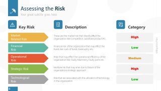 Key Risk and Description Template 