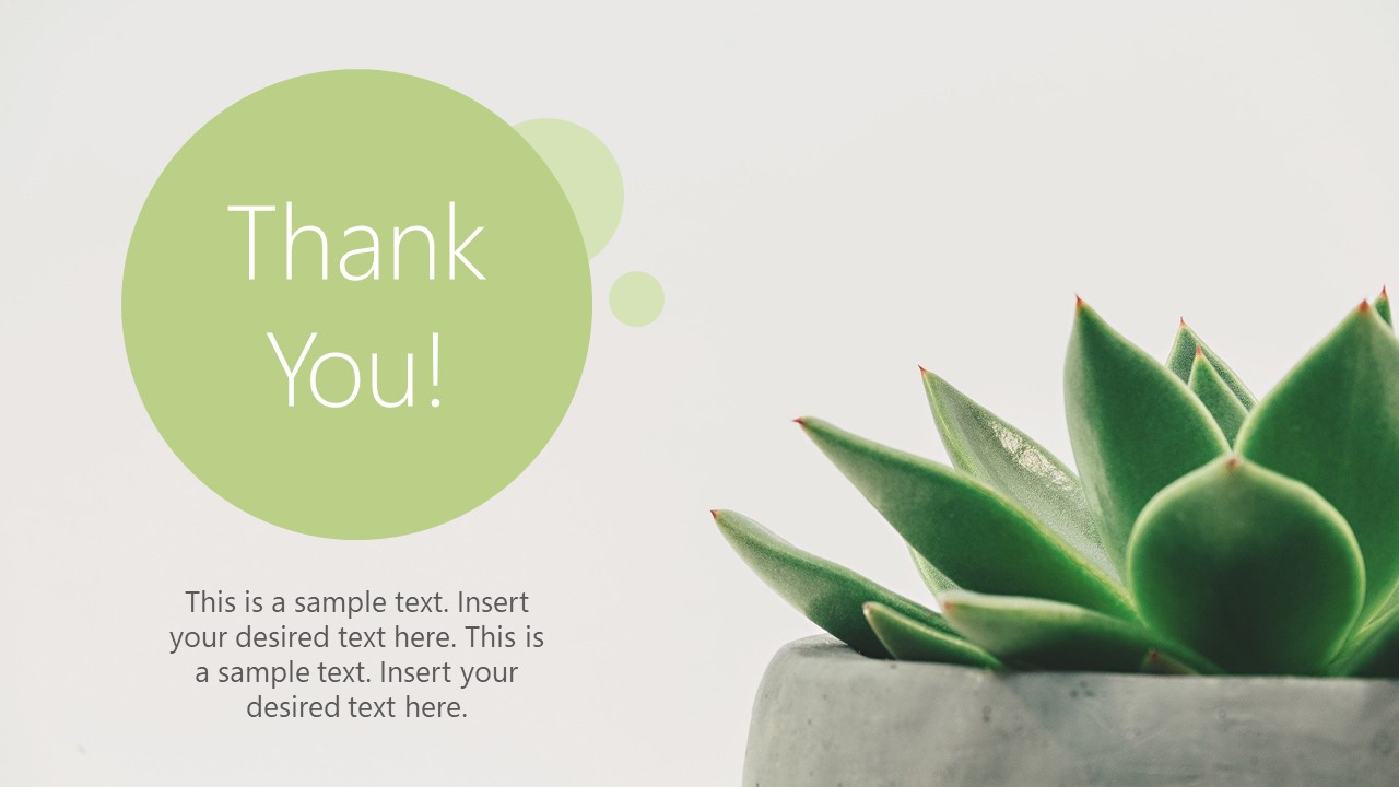 Thank You Image Succulent PowerPoint - SlideModel