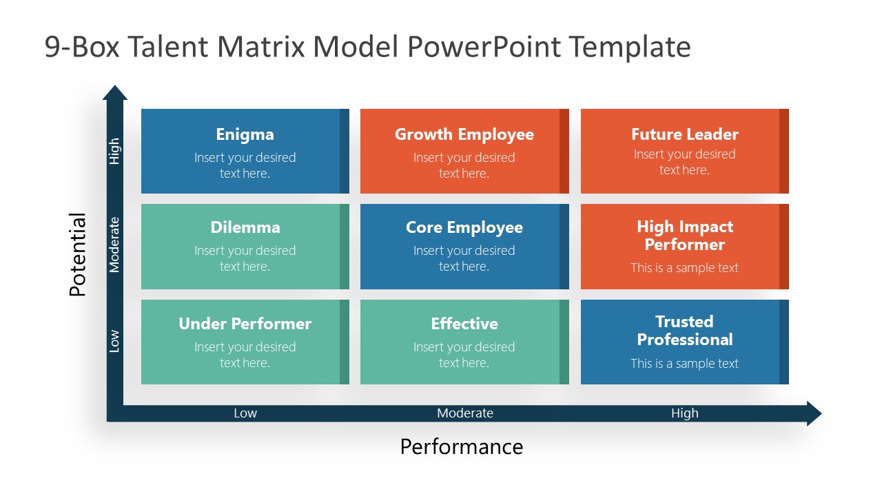 Matrix Model Diagram for Talent Review 