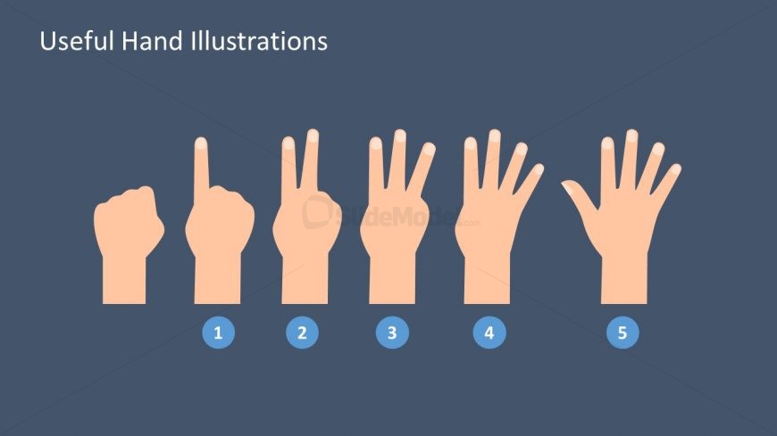 Presentation Shapes of Hand Signals PPT
