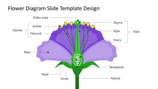 Flower Label Diagram Template PPT