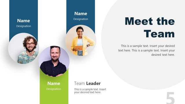 3 Column Layout Meet The Team