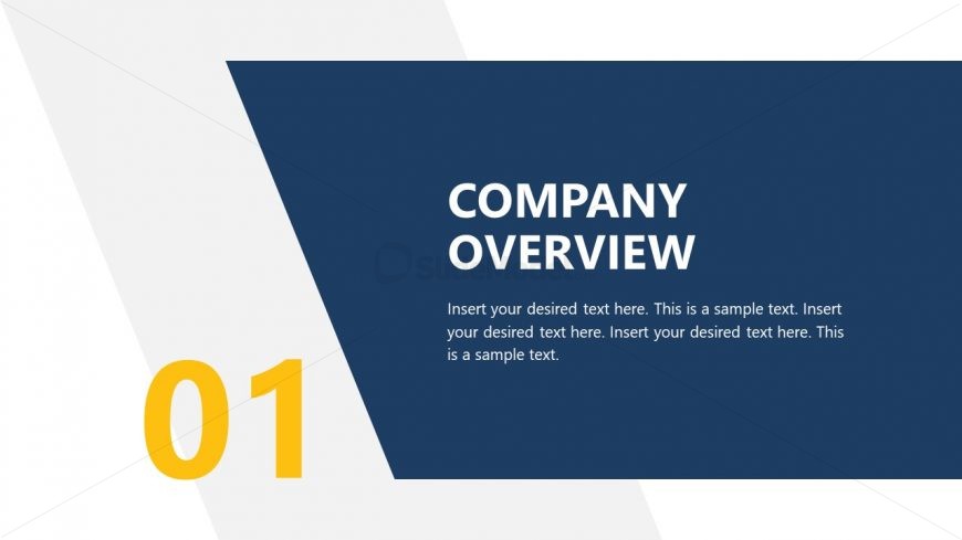 Company Overview Slide for Annual Report Template Slides