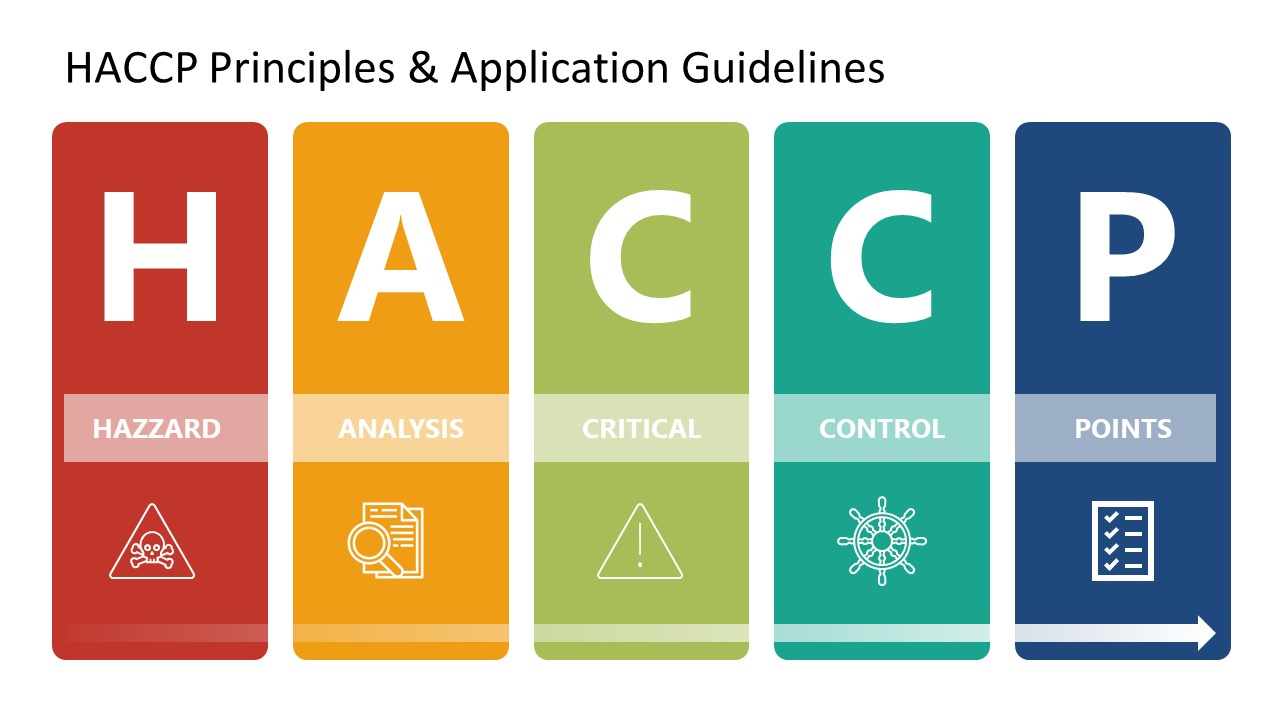 PowerPoint HACCP Principles 5 Steps Diagram 