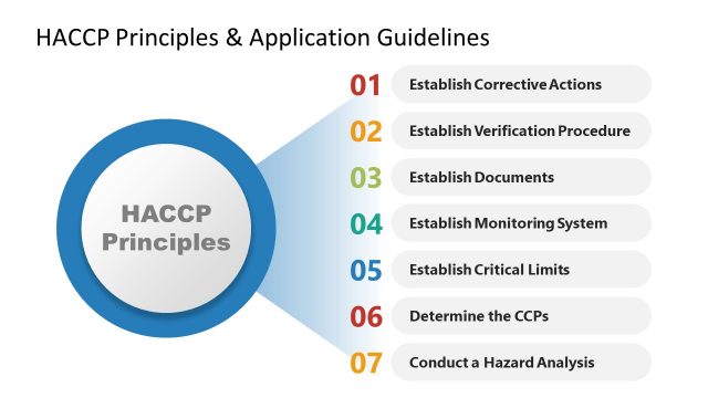 HACCP Principles Diagram Template