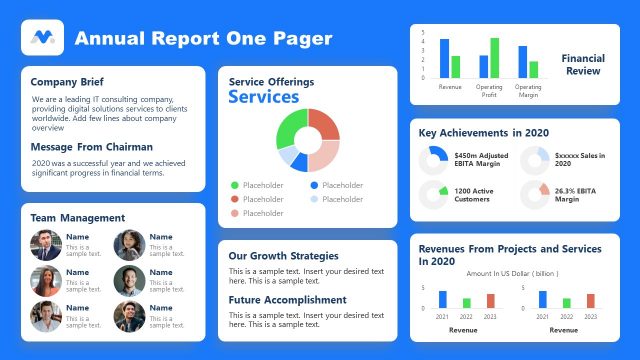 Blue Theme Annual Report One Pager Template