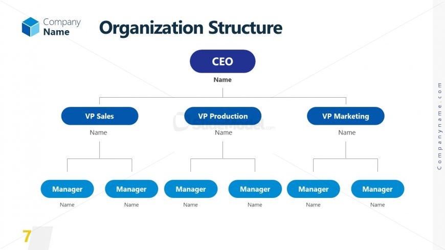 Vertical Flow Diagram Showing Organization Structure 