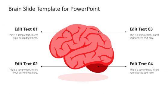 powerpoint presentation on human brain