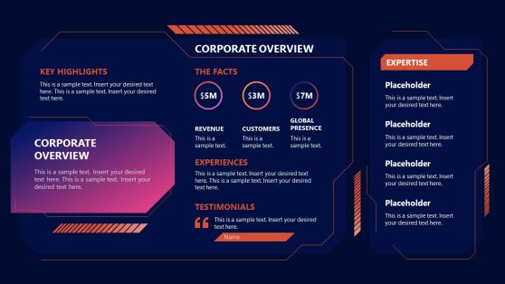 company overview sample