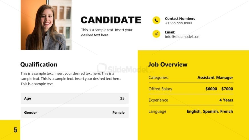 PPT Candidate Slide Design - Job Search Slide Deck