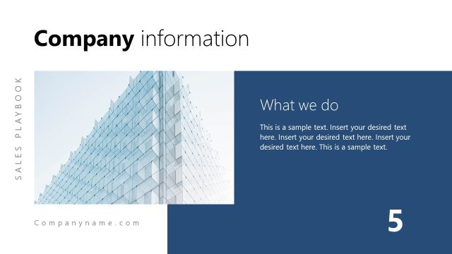 Company Information – What We Do Slide Template