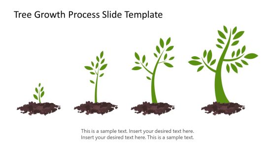 Tree Growth Process PowerPoint Template