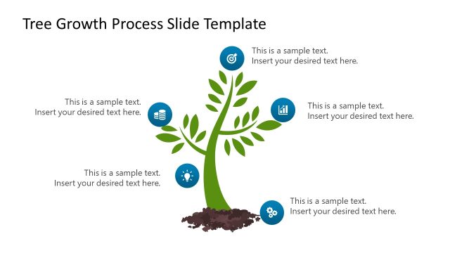 Tree Growth Process PowerPoint Slide