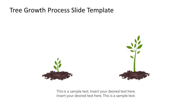 Small & Large Trees Diagram – Tree Growth Process Template